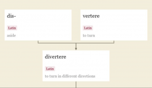 Diversity Etymology